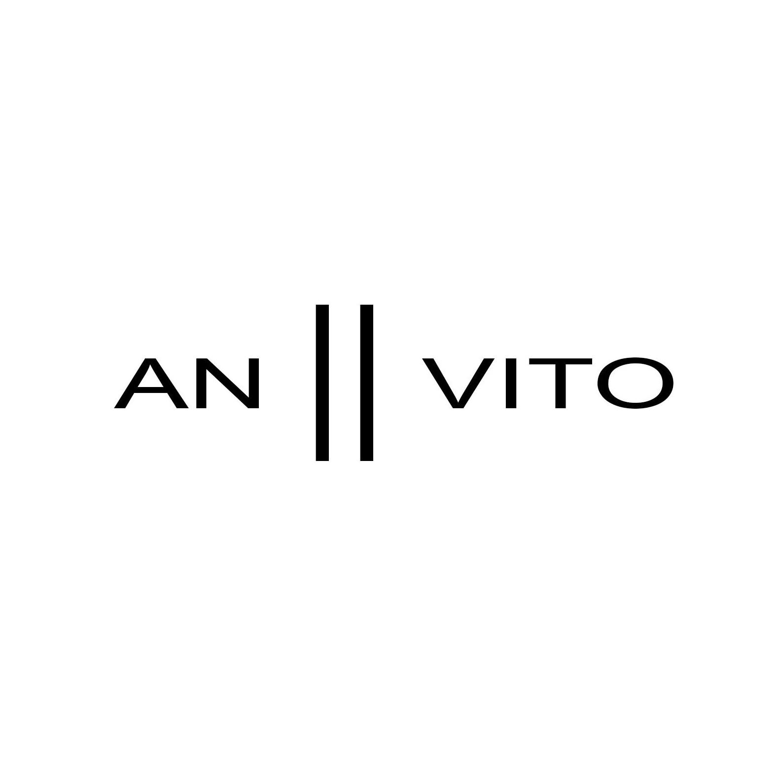logo Anvito